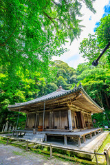 夏の富貴寺　大分県豊後高田市　Fukiji temple in summer. Oita Pref, Bungoono City.