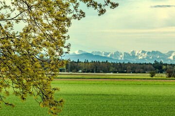 View of the Alpine foothills from the outskirts of Munich. In the foreground are green fields and forests without leaves. Mountains are not in focus