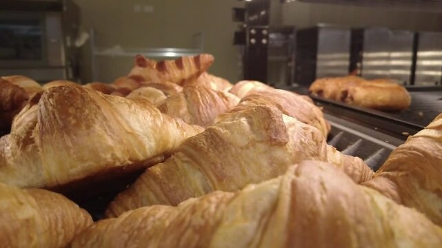 croissants in a bakery