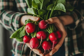 Freshly Harvested Radishes Held in Hands