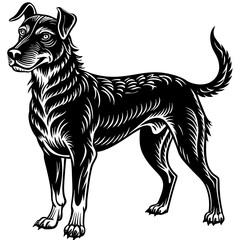 illustration of dog,wolf, head, dog, vector, animal, black,