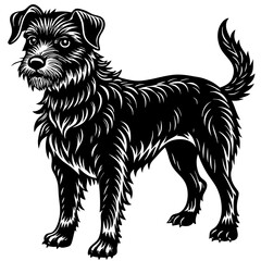 illustration of dog,wolf, head, dog, vector, animal, black,