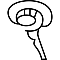 Basal Ganglia Icon