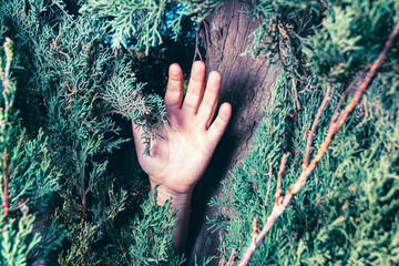 Hand Reaching Out from Dense Foliage - Mysterious Nature Concept
