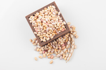  An annual herb from the legume family. The height is 60~100cm, and the leaves are alternate, three compound leaves, and have hairs.

