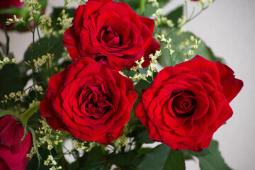 赤い薔薇