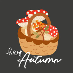 Hello Autumn illustration. A wooden wicker basket with a handle with mushrooms and a sprig of sea buckthorn. Flat vector fly agaric, sea buckthorn, basket and inscription on gray background