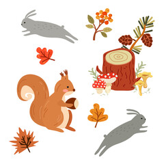 Hello Autumn illustration. Nature and wild forest animals vector. Autumn yellow leaves, sea buckthorn branch, wooden stump with cones, mushrooms, gray bunnies and red squirrel with acorn