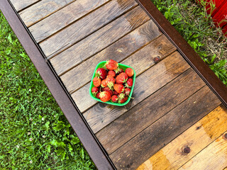 Strawberries in a green container on a wooden bench, surrounded by green grass