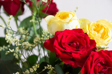 赤と黄色のばら