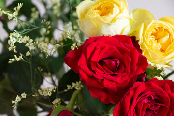 赤と黄色のばら