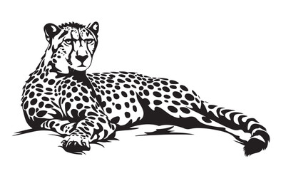 Obraz premium Cheetah hand drawn with ink on white background logo