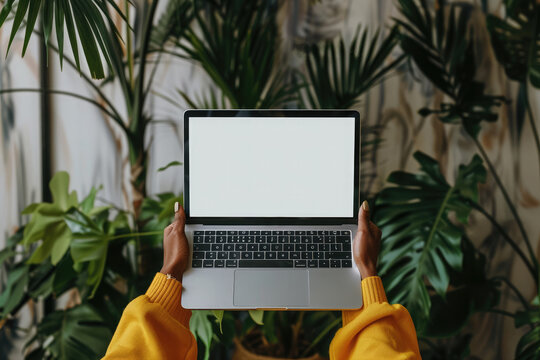 Female hands hold on laptop computer in a room with indoor green flowers. White blank mock up empty screen display for business websites or services ads. Mock up. Copy space