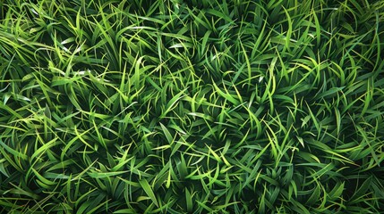 Obraz premium Natural green grass texture, creating a lush and realistic lawn background effect
