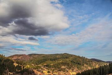 Landscapes - Macro  - Forest - Europe, Romania, Suceava region