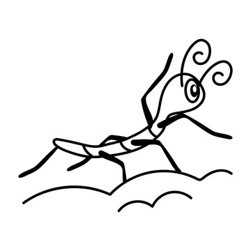 "Stick Insect" Images – Browse 4,199 Stock Photos, Vectors, and Video