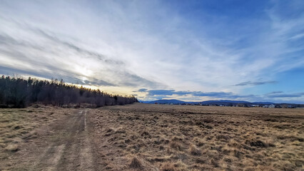 Landscapes -  Forest - Europe, Romania, Suceava region