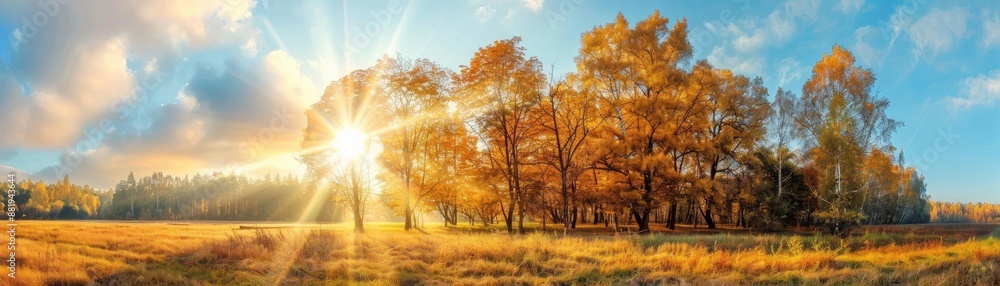 Poster panoramic view of a sunny autumn landscape with vibrant trees and a grassy field under a blue sky.