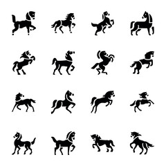 Pack of Equus Caballus Solid Icons 

