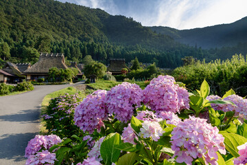 京都かやぶきの里