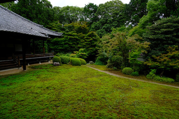 京都山科随心院の境内