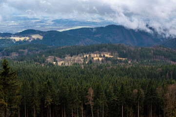 Deep coniferous forest and mountain meadow from hill Plesivec.