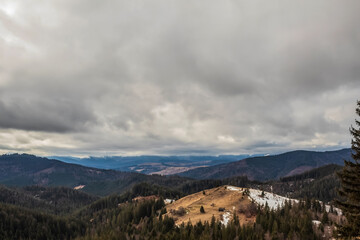 Fototapeta premium Landscapes - Forest - Europe, Romania, Suceava region