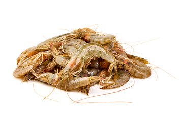 Shrimps, isolated on white background.