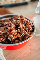Bowl of Crispy Choclate Chip Cookies with White Choclate Decoration Ready for Christmas
