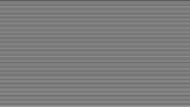 White Stripes Background Classic Glitch Scanline Overlay Effect. Old TV Noise Static Texture on Black Background. Retro TV Texture Vector Illustration.