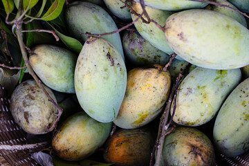 Mango Fruit Background