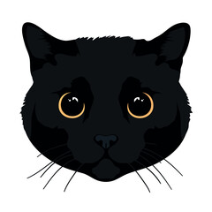 Cat head isolated on white background. Feline face. Black cat with big yellow eyes. Realistic style. For stickers, t shirts, mugs, design