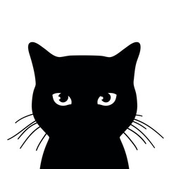 Cat silhouette with eyes and whiskers. Cat looking at camera. Hand drawn vector illustration