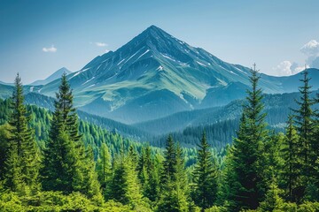 Majestic Mountain Peaks Towering Above Lush Green Coniferous Forest