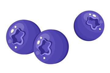 Blueberry isolated on white background. Fruits and berries design. Fresh juices ripe blueberry fruit close up. Berries icon. Delicious Organic food. Vector illustration