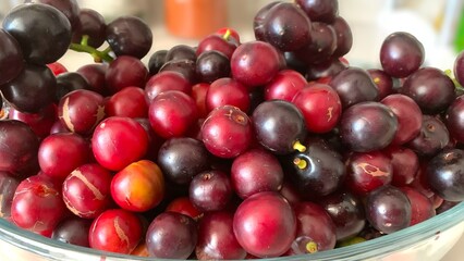 Prunus laurocerasus or Otto Luyken (kara yemis) fruits collected from nature