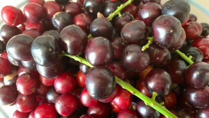 Prunus laurocerasus or Otto Luyken (kara yemis) fruits collected from nature