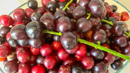 Prunus laurocerasus or Otto Luyken (kara yemis) fruits collected from nature