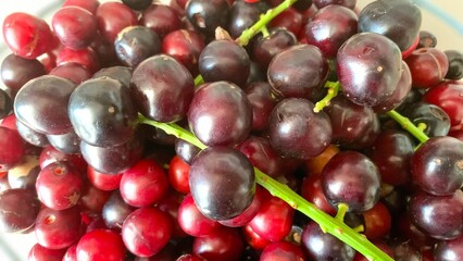Prunus laurocerasus or Otto Luyken (kara yemis) fruits collected from nature