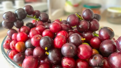 Prunus laurocerasus or Otto Luyken (kara yemis) fruits collected from nature