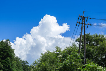 夏の青空と白い雲と電柱と緑