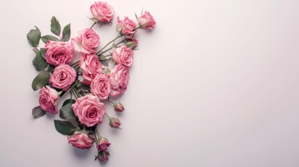 Beautiful bouquet of pink roses is arranged in white background