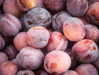 Close-up photo of freshly plucked plums