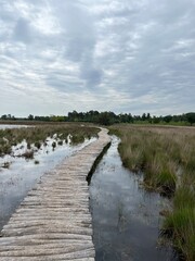 Naklejka premium Walk