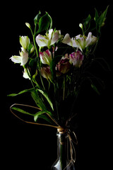 Fresh flower bouquet on black background