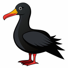 Fototapeta premium albatross birds