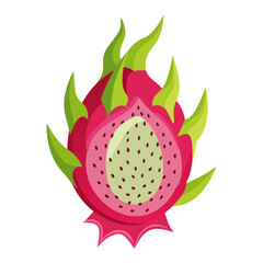 Dragon fruit icon on white background