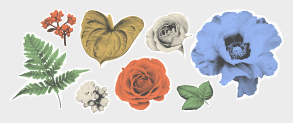 Cutout Color Halftone Flowers Set. Contemporary collage elements in a retro pop art style. Clipping scrapbook stickers with ripped paper. Vintage monochrome herbarium.	