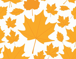 Variety of maple leaf isolated on white background

