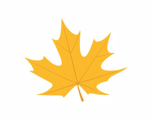 Variety of maple leaf isolated on white background

